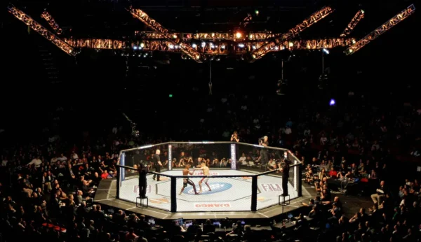 Introduction to MMA